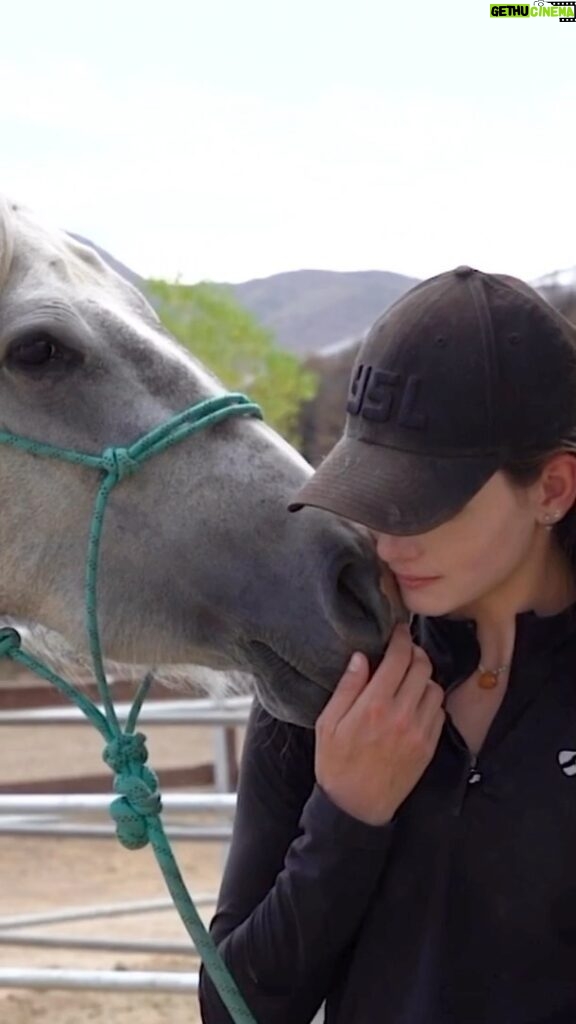 Mackenzie Foy Instagram - This is Whisper of the Wild. She is a young mustang that the @wildbeautyspirit saved from neglect, starvation, and slaughter. Since she was rescued she has been in rehabilitation to bring her back to health. While her transformation from the last four months has been great, she still has a long way to go before she is fully healthy. She’s steadily gaining weight and muscle. The tooth abscess on her face is being quite difficult to heal and is starting to become painful for her. We have been working with vets to try and get it to heal without having to extract the tooth. Unfortunately it’s not healing and she will have to get the infected tooth extracted. She has made massive strides in becoming halter broke and comfortable with us. She’s doing really well with desensitizing and pressure training. We’re still working on baths and lunging but she’s getting better and more comfortable with it every time we do it. She picks up all four feet and has even seen the fairer and had her feet trimmed multiple times now. I’ve learned so much from whisper already and I can’t wait to see what else we will learn together. Thank you to everyone who has helped us get to where we are. The incredible trainers, veterinarians, and equine professionals. This has been 100 days of Whisper of the Wild.