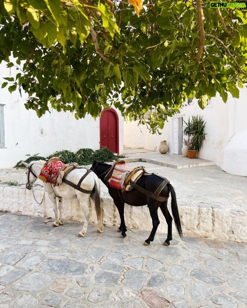 Madisson Hausburg Instagram - My best friend of 20 years got married on the most magical Greek island and I’m very emotional 🥲