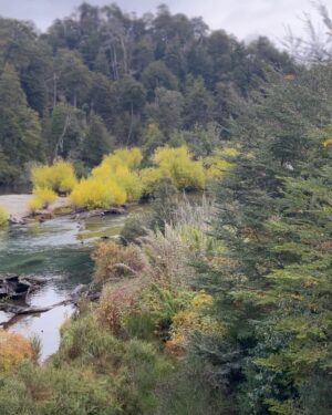 Maggie Civantos Instagram - Primer chapuzón de mi primavera, despidiendo este maravilloso país!

Spring has sprung and autumn has come 🌻🌼 

The last leg of our journey has been peaceful and beautiful  #sanmartindelosandes  #patagoniaargentina 🤍🫶🏼

Gracias @may_ariadna por organizar nuestro viaje! 
🙏🏻 @rotui_apart_hotel