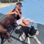 Maggie Civantos Instagram - @huellasterapeuticas Gracias por hacerme parte de esta familia, siiiiiii…quiero ser vuestra madrina! Esa es mi respuesta a la pregunta que me hicieron el viernes pasado. Os invito a que echéis un ojo a su labor 💙 TERAPIA CON PERROS FUNCIONA💙 @Huellasterapeuticas Thank you for making me part of this family, Yes... I want to be your godmother! That is my answer to the question I was asked last Friday. I invite you to take a look at his work 💙 THERAPY WITH DOGS WORKS 💙 @huellasterapeuticas Malaga, Espana