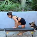 Maggie Q Instagram - I’m convinced our bodies are made to move. Being so sedentary is a new (and scary, honestly) thing! On days when I don’t get out on a hike with the dogs or do some kind of quick workout, I can always feel a difference. So, here’s a bodyweight circuit I did during the midst of a busy day. I shut my laptop, hustle outside, and take 20 minutes to reconnect all my body parts to my brain. The next task I jump to after these little sessions like this one is always the most creative or productive part of my day. (ps - the one-arm body weight rows are tougher than you think!) 1. 12 tricep dips 2. 12 one arm body weight row, right arm 3. 12 one arm body weight row, left arm 4. 12 toe touch crunches Rest 1 minute, repeat 3x total