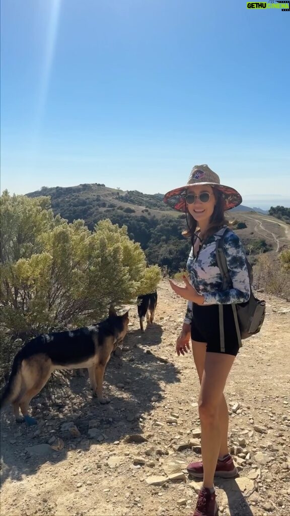 Maggie Q Instagram - Get out on a hike with your dogs! 🐾 Prioritizing wild, nature time with your dogs can improve their life (and yours!). It comes down to thinking about what’s natural. How can we give them as much of that wild experience as we can. Never forget that what is good for you is good for them, and vice versa. We are here to contribute positively to each others lives! Always remember that a one sided relationship is NOT fun. Think about them and their needs, and you will have a loyal friend for life. Or 3, like me 😂