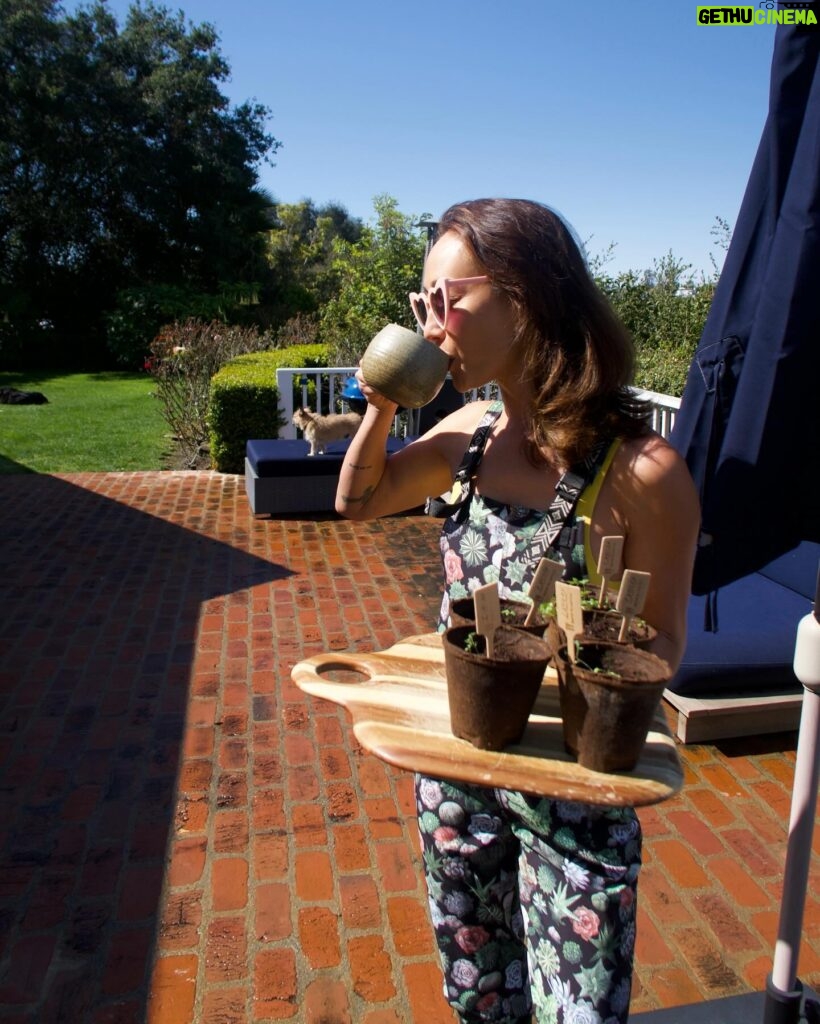 Maggie Q Instagram - There are few better feelings than growing your own food! I started these herbs from certified organic seeds from Spade to Fork, and before I knew it, it was time to repot my little seedlings into bigger pots! It’s just sun, dirt, water, and me bringing these babies to life, and I can’t wait to use these herbs when they’re ready!