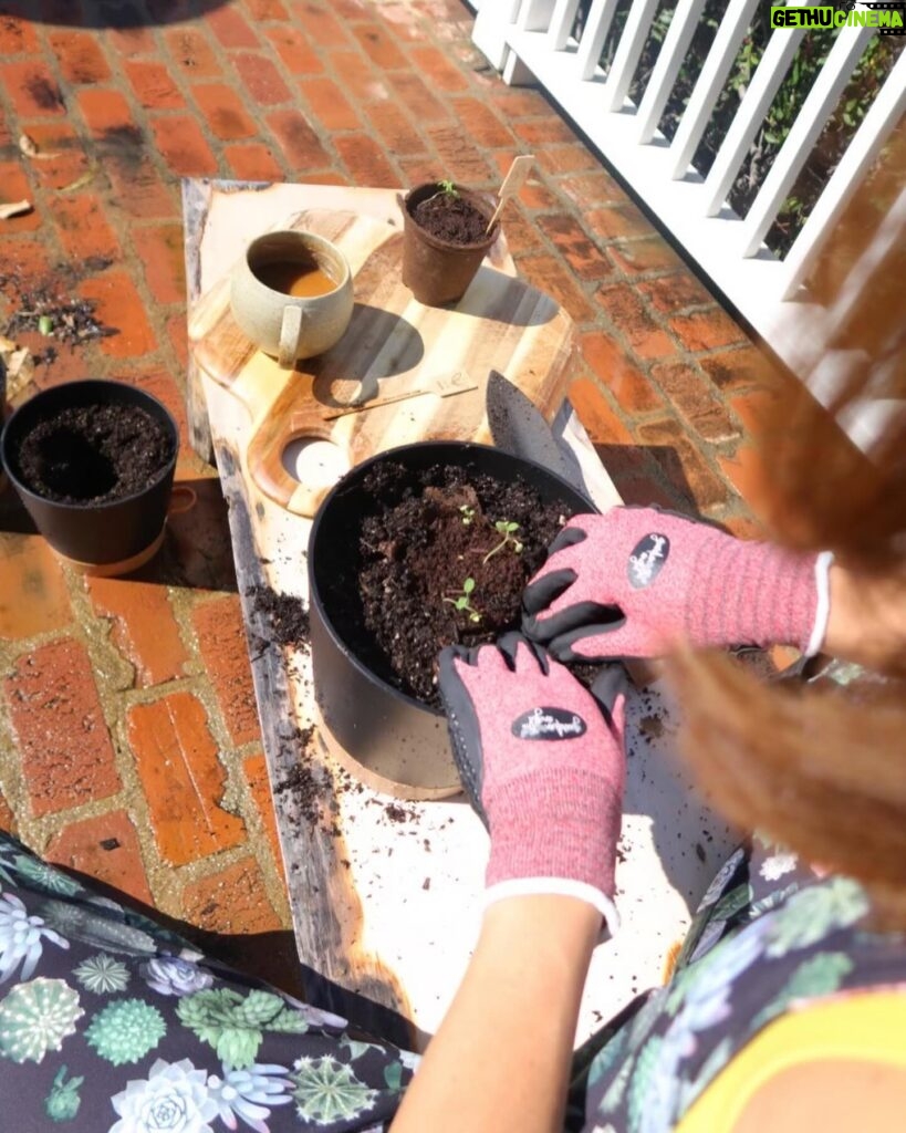 Maggie Q Instagram - There are few better feelings than growing your own food! I started these herbs from certified organic seeds from Spade to Fork, and before I knew it, it was time to repot my little seedlings into bigger pots! It’s just sun, dirt, water, and me bringing these babies to life, and I can’t wait to use these herbs when they’re ready!