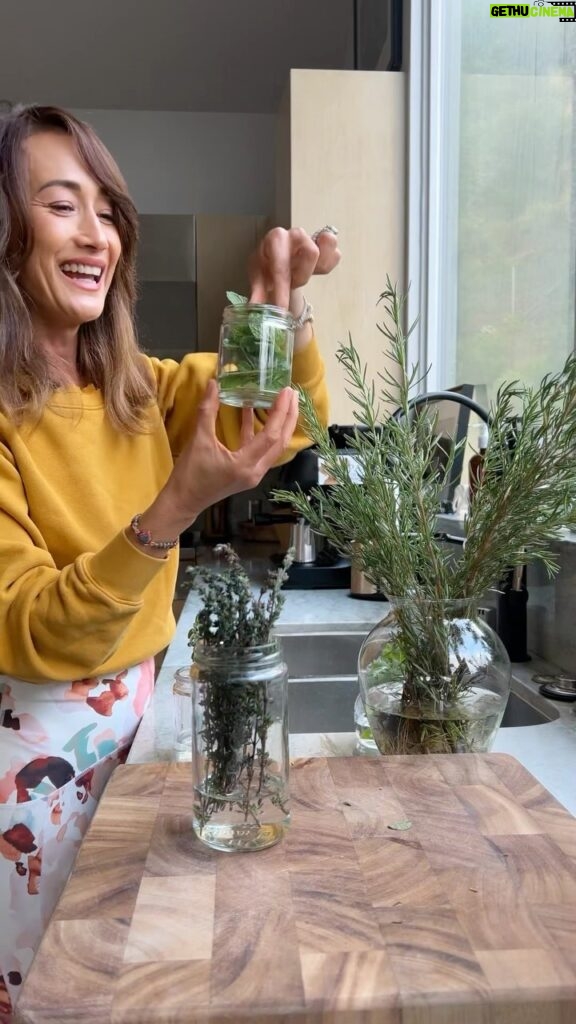 Maggie Q Instagram - Even in the winter, you still want fresh herbs and so do I! What I do is I take little cuttings from my garden before it gets too cold, then I bring them inside and plant them in water. It really couldn’t be easier! Basil, oregano, thyme, and mint are all good options for this planting method! All you need to do is keep refilling the water as these little guys drink it.