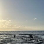 Maggie Q Instagram - Home. The feeling of home is one I’m so blessed to have in Hawaii. It’s a restorative feeling.  A time to reflect, and fill up. Time on my farm and with the dogs are really my place to do that. I’m so lucky to have this place, but I think we can be intentional about cultivating a sense of home too. Even if home for you is not where you grew up or not your related family, that doesn’t diminish home’s power. When you’re choosing people, places, and things to live with, cultivate your home.