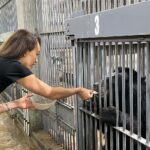Maggie Q Instagram - I can’t believe how many years I have been able to work with the AMAZING Animals Asia. It’s been close to 20 years since I discovered their mission and what an HONOR is has been to fight alongside them. This recent trip to Vietnam to open the newest sanctuary that will house the remaining bear bile farmed moon bears was a touching moment indeed. When I started with them this practice was legal. Now it has been made ILLEGAL and the remaining few hundred bears who live a life of torture will be brought here to heal, rest, and live the life intended for them. I was able to name Phoenix after she was rescued from many years in a cage. Dumped on a construction site, the lock that imprisoned her sits on my desk. Now she eats bananas and condensed milk and has been given a second chance at her relationship with humans. As flawed as we are, in what we put animals and other people through… the other side are those who work to fix all that. You make the world a better place @animalsasia