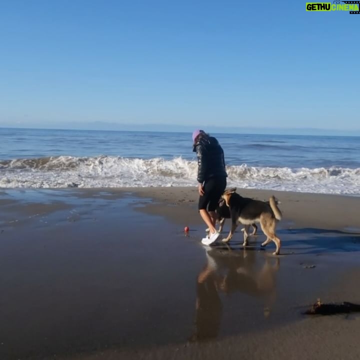 Maggie Q Instagram - MY MORNINGS! Every day I can manage, the dogs and I get out for beach walks and mountain hikes. ps - always remember your sunscreen!