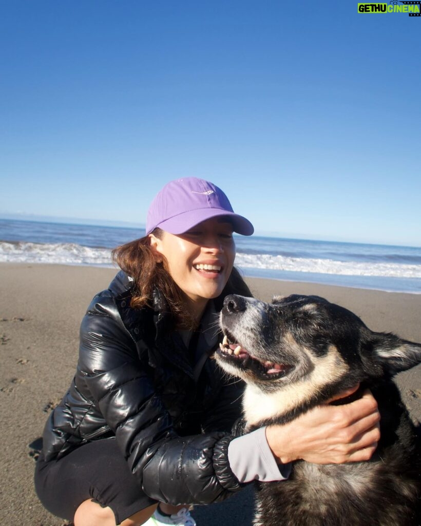 Maggie Q Instagram - MY MORNINGS! Every day I can manage, the dogs and I get out for beach walks and mountain hikes. ps - always remember your sunscreen!