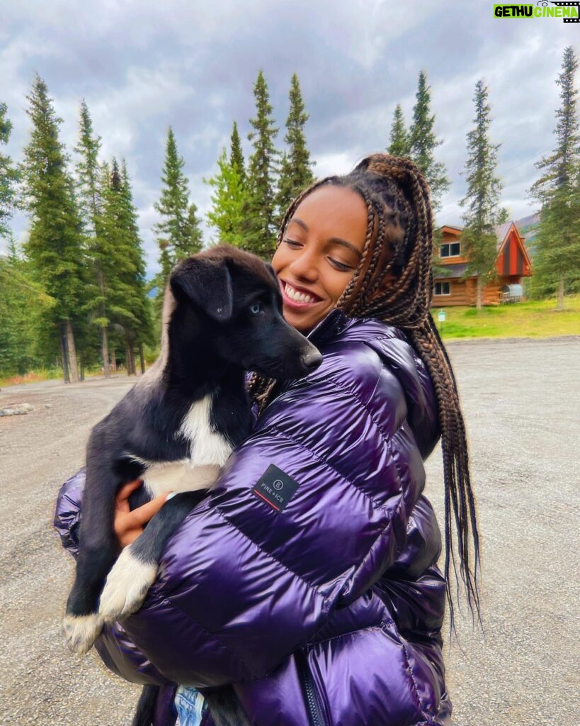 Maisie Richardson-Sellers Instagram - Day1 in Alaska and hanging out with husky puppies.. this place knows the way to my heart.