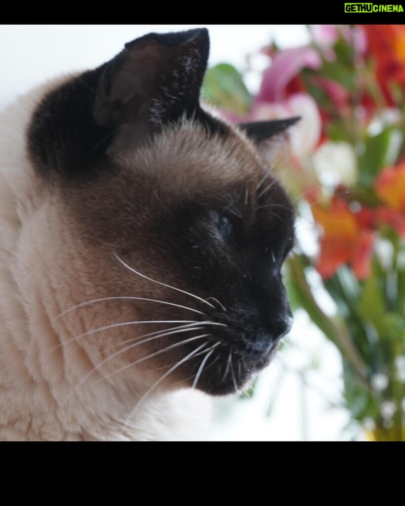 Malena Guinzburg Instagram - Díganle FELICES 21 AÑOS A CHAVELA!!! Acá un pequeño carrete con sus fotos. Por lo menos de los últimos años. Hay más pero en papel, es una señora grande. La primera foto de ahora. Así, viejita, hermosa. ❤️❤️❤️❤️❤️❤️