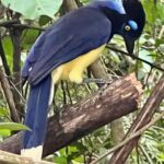 Malena Guinzburg Instagram – Hermosas las Cataratas. Hermoso viaje!!!!
Gracias @pristinecamps @puerto_bemberg y toda la gente hermosa del lugar!