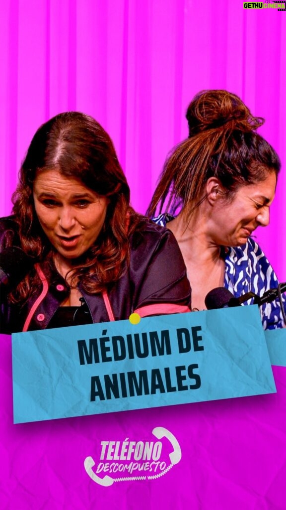 Malena Guinzburg Instagram - LA MEDIUM DE ANIMALES 🙀🐾🐢 A cierta edad uno empieza a hablar con las plantas, con los animales, con uno mismo (?) … Pero cuando les hablamos nos entienden? cual es su verdadero idioma ? En este episodio Connie nos cuenta del idioma Gatuno -aprendido en Tik Tok - se lo enseña a Male para que le charle un poco a Chavela 🫣😹 pero no nos quedamos en los animales vivos q tenemos en nuestras casas… también hablamos con Una medium de animales que aparentemente se comunica con animales ‘del cielo’ pero ojo hay condiciones para poder comunicarse con ellos 👻… escucha el episodio y descrilooooooo ☎️“TELÉFONO DESCOMPUESTO” ☎️ El podcast que podés escuchar y ver en YOUTUBE y SPOTIFY Cuéntenos qué les pareció y suscríbanse al canal de YouTube y Spotify (es gratis!!) TELÉFONO DESCOMPUESTO Host: @connieballarini @mguinzburg Realización: @interesgeneralpodcast Productor @matiasdaneri Editor de video @guidodirisio Productor general @juanbelli24 Edición artística @matiasfoti