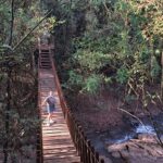 Malena Guinzburg Instagram – Dos días en el paraíso!
Nos vinimos a @pristinecamps en Iguazú! Yo ya conocía el de Salinas y me había fascinado. Suponía que este iba a ser genial también, y no me equivocaba!
Todo es perfecto, el lugar, el paisaje, la gente, la comida. Posta es una experiencia espectacular.
Ahora me falta conocer el de Calafate!!!
❤️❤️❤️❤️❤️