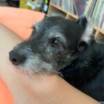 Malena Pichot Instagram – Pero cómo no vas a tener perro?!