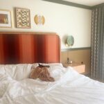 Mamrie Hart Instagram - The @thehighballhouse was booked, so we booked it to the @lifehousehotels in Palm Springs for a little writing reTREAT. I’m loving the cocktails but it appears Beanz is appreciating the comfy bed.