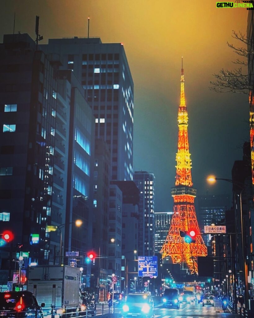 Manami Higa Instagram - いつもそこにいてくれる安心感。 都会にふと疲れた時でも 癒しをくれる穏やかな灯り ありがたいね♡