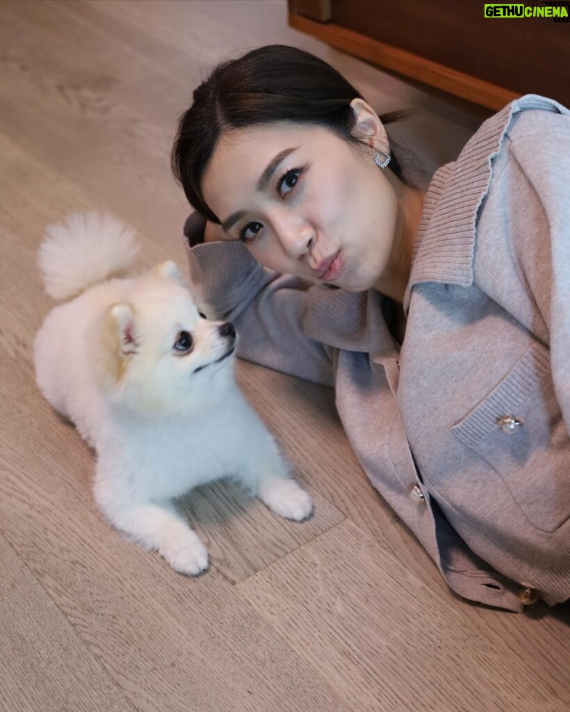 Mandy Wong Instagram - 好耐無同呢粒糯米糍Mochi合照，終於肯望鏡頭啦🫣🥹🙏🏻 🐶有人話我哋越嚟越似樣😯