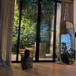 Manuela González Instagram - Pedro en modo contemplativo en su hogar… 🌱🌿🍃🐉 Hace unos días hice un ejercicio muy bonito con Pedro. Le puse música con frecuencia de 528Hz , la cual tiene propiedades maravillosas (los invito a buscar info al respecto!) para ver cómo reaccionaba. Le dije Pedro has lo que sientas! Y se puso a observar el jardín y luego buscó distintas posiciones de yoga, respiró por un rato y media hora más tarde se quedó absolutamente profundo. Que belleza haber sido testigo de esta conexión tan profunda 💫 #PedroMiHermoso #528hz #sanación #MusicaQueTransforma #NiditoVascoGonzalez