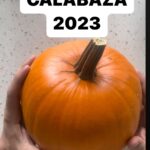 María Castro Instagram - Nuestra calabaza!!!!! Cada año te superas más @jose_manuel_villalba !!! IMPRESIONANTE!!!
