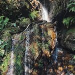 Marcela Fetter Instagram - Eu não tô um pouco apaixonada, eu tô MUITO apaixonada por Blue Mountains! A natureza é sempre surpreendente, a cada 10 minutos de trilha era um cenário completamente diferente e assim, cenário de FILME ENCANTADO! 🍂❤️