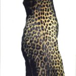Maria Grazia Chiuri Instagram - The leopard print has been a code of Dior since the times of Mizza Bricard, and became one of the most recognisable symbols of the Maison when it was reinterpreted by Marc Bohan. Our vision of this code for the Fall/Winter 2025 collection develops futher on the elegant and contemporary aspect of this pattern, thanks to a new approach which promotes a defined silhouette and couture-like lines.