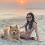 Mariana Botas Instagram - Sol, arena y mar… es todo lo que quiero ahora 🐶🐾✨💛💖🩵 . . @royalcaninmexico #increibleencadadetalle . #chasingsunsets #acapulco #migüeroyyo
