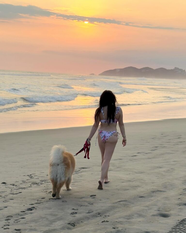 Mariana Botas Instagram - Sol, arena y mar… es todo lo que quiero ahora 🐶🐾✨💛💖🩵 . . @royalcaninmexico #increibleencadadetalle . #chasingsunsets #acapulco #migüeroyyo