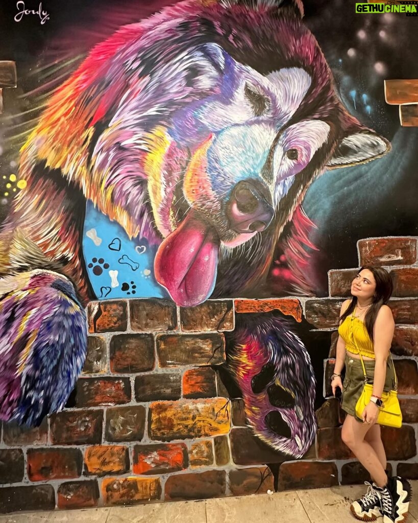 Mariana Botas Instagram - 🇨🇴 Medellín es una chimba 🎉💛🧡🎨