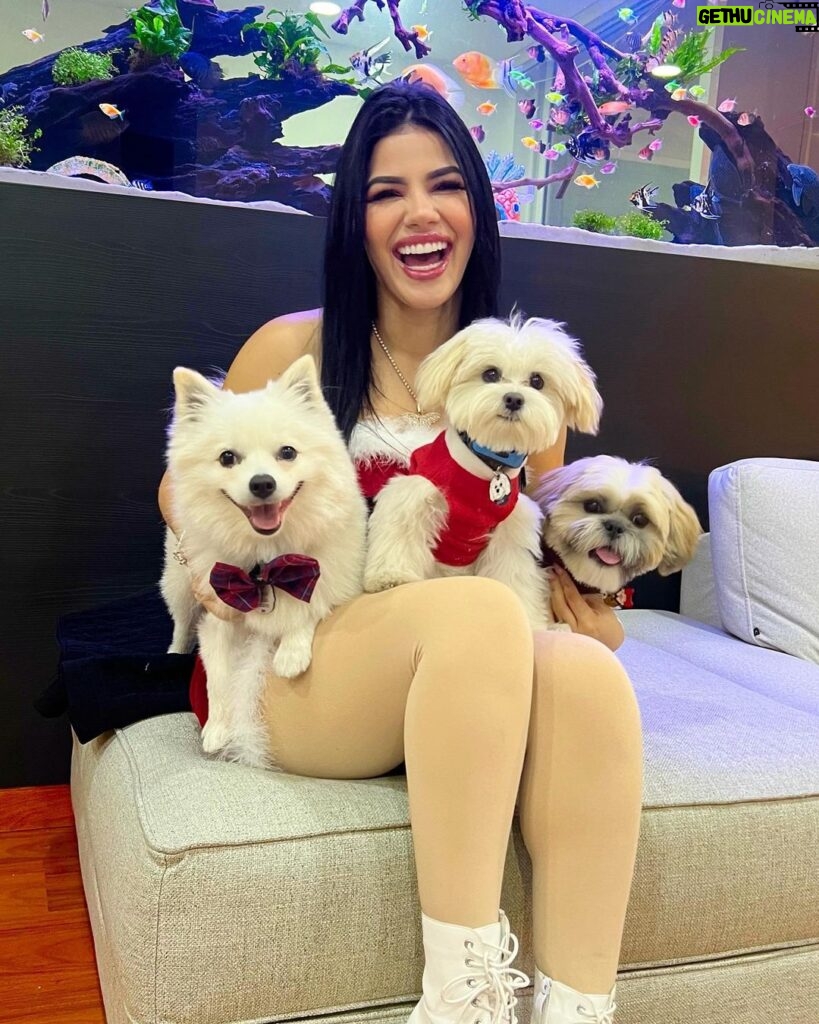 Mariana Ávila Instagram - Mi primera navidad con mis pequeñitos hermosos! 😍😍😍