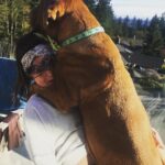 Marie Avgeropoulos Instagram - His devastating reaction when I told him he just gained a few more LBS .... @mybestfriendchewy #dogsofinstagram #woof