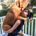Marie Avgeropoulos Instagram - That one time I got a bear hug from the man that stole my ❤️! Miss you Chewy! #dogsofinstagram #dogstagram