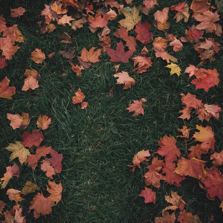 Marie Ulven Ringheim Instagram - October Passed Me By Out october 14th Made with @aarondessner at Long Pond The story continues…