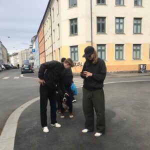 Marie Ulven Ringheim Instagram - recent life moments 🕸 ive had some voice issues this year, so here are the rescheduled US & UK/EU dates ❣️ i’m on total vocal rest, and the recovery is taking a while. i’m meeting a speech therapist next week and doing everything i can to get better!! if you can’t find your rescheduled date, i promise ill make it up to you. miss u and love u