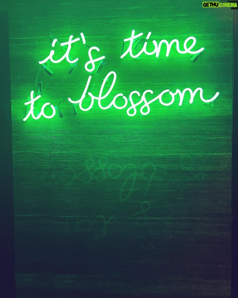 Mariluz Bermúdez Instagram - It’s time to blossom!! ✨🌷✨