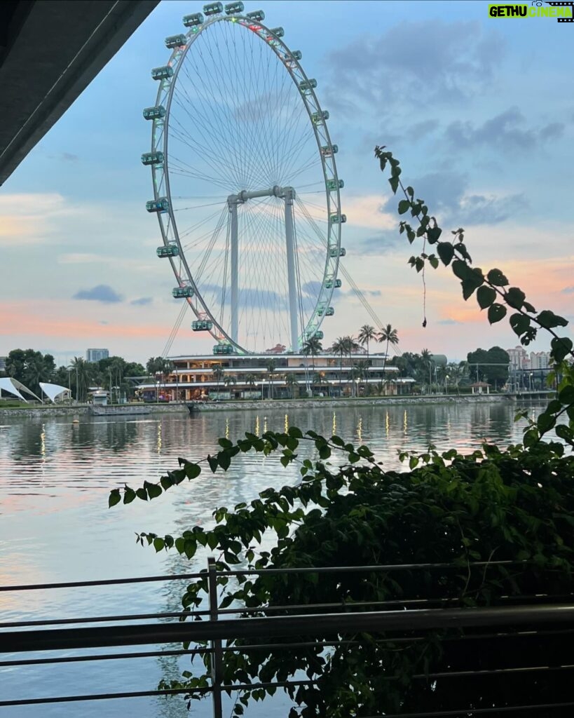 Marina Yers Instagram - SINGAPUR 🇸🇬 Fotos guapísima retocada con Face App VS la realidad 😏 Sea como sea, amo mi trabajo porque puedo hacerlo desde cualquier lugar del mundo. VIVA EL MARKETING DIGITAL. #singapur #vamosparasingapur #marketingdigital