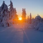 Marine Lorphelin Instagram – Le plus beau sunrise de ma vie en Laponie 🥹🩵

📍Lapland