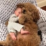 Marion Cotillard Instagram -