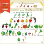 Marion Cotillard Instagram - #repost @clairesophiepissenlit ・・・ Champignons et courges à gogo pour ce mois d'octobre 🎃🍄 On ne le rappellera jamais assez : manger de saison c’est meilleur pour la planète, pour votre santé 🌍 #csp #clairesophiepissenlit #calendrierdesaison #fruitsetlegumes #local #octobre