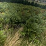 Marion Cotillard Instagram - Viva England! #hiking