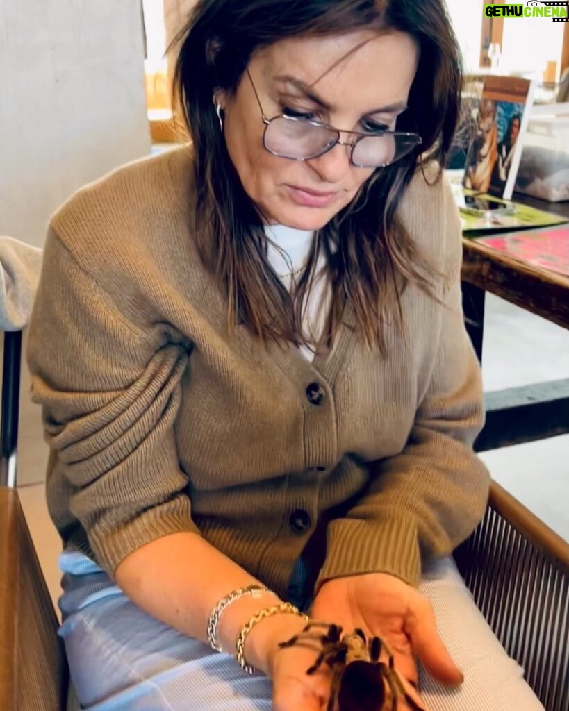 Mariska Hargitay Instagram - So this happened… let me just say I was Terrified but I decided to #FeelTheFearAndDoItAnyway I have been scared of spiders and tarantulas my entire life. Never in 1 million years did I think I would be able to hold one AND I sat there and realized that I could overcome this perceived obstacle-that it was just pure fear, and there wasn’t any real danger there. It took me a minute for my rational mind to wrestle down my fear and I gave myself the room, and I waited untill I was ready.. and then I was. Fear is something to be reckoned with. Fear is such an incredible teacher. It was a very beautiful experience to overcome it, and be healed by nature and allow this little miraculous creature to feel safe in my hands as well. Feeling their little nails was just the sweetest thing. I NEVER thought I would say that. Feels like such a monumental moment of growth. P.S it fell asleep in my hand. #WeCanDoHardThings