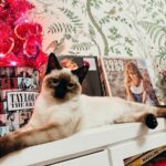 Mariska Hargitay Instagram - Happy Birthday @taylorswift ♥️karma