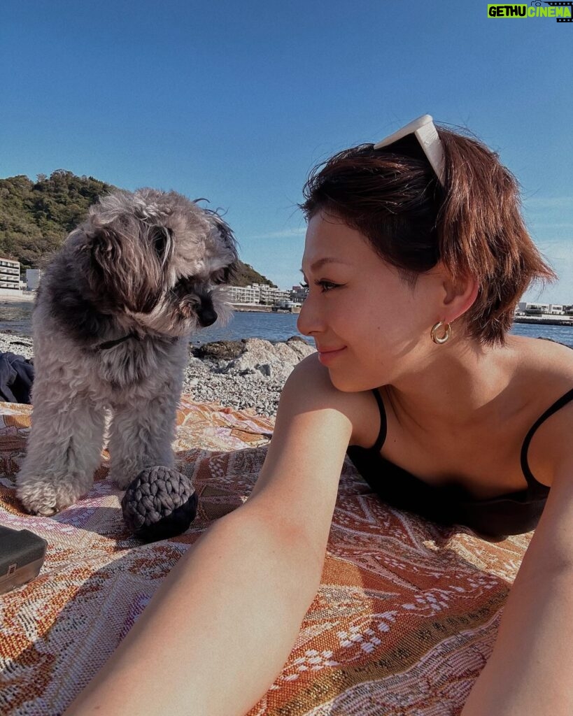 Mariya Nishiuchi Instagram - 🐶🧡🧡🧡