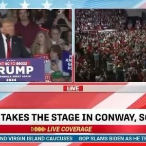 Marjorie Taylor Greene Instagram - WOW!!!

South Carolina is Trump country! 🇺🇸

Shame on Nikki Haley for not dropping out and only staying in the race hoping the communist democrats lock Trump up!!

Nikki is ending her political career!!!