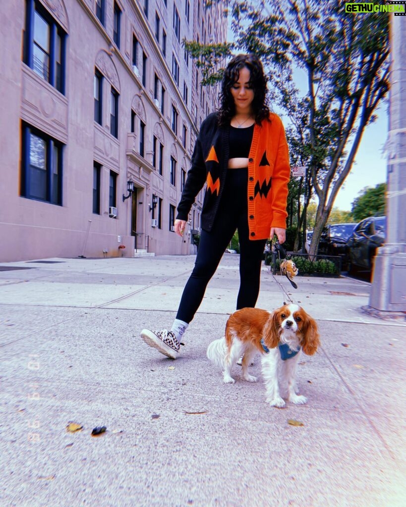 Mary Mouser Instagram - Lady and I don’t wait for the cold weather to bust out the spooky szn sweaters - not when they’re this cute 🖤 (also pretty sure we were both looking at a bee in that first pic.) @hottopic #sponsoredbyHT #halloweenforever