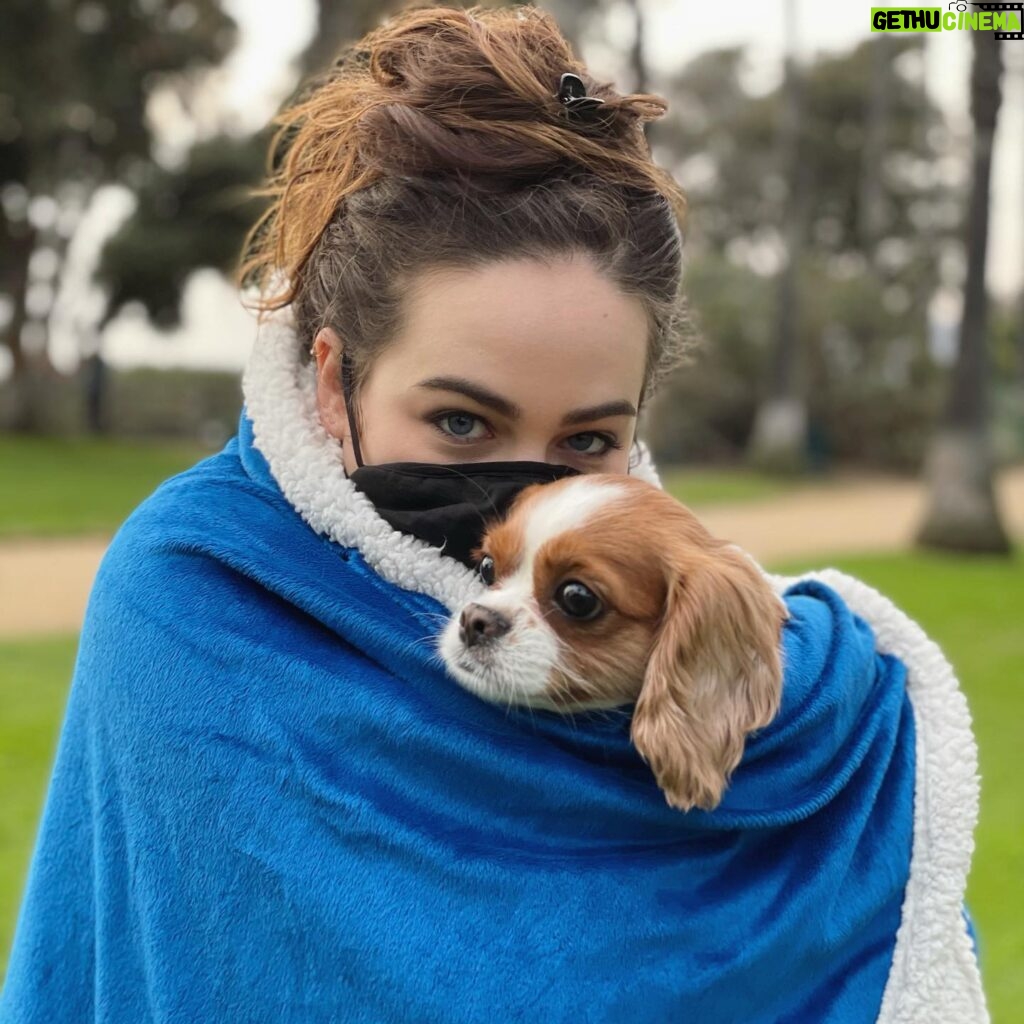 Mary Mouser Instagram - •cozy blanket ☑️ • cute pup ☑️ • quarantine messy-bun ☑️ - I love that it’s getting a little colder outside, but a cozy holiday season at home is around the corner over here and I am READY FOR IT ☃️ - Also I’ve been MIA since I’m keeping safe with my mask on, social distancing, and staying home, and I hope you’re all staying safe and smart as well so we can kick this pandemic’s butt ASAP! 👊💙 - Do you guys have one go-to blanket for winter cuddles? Or do you bury yourself under a pile of MANY blankets? (Somehow I do both 😂)