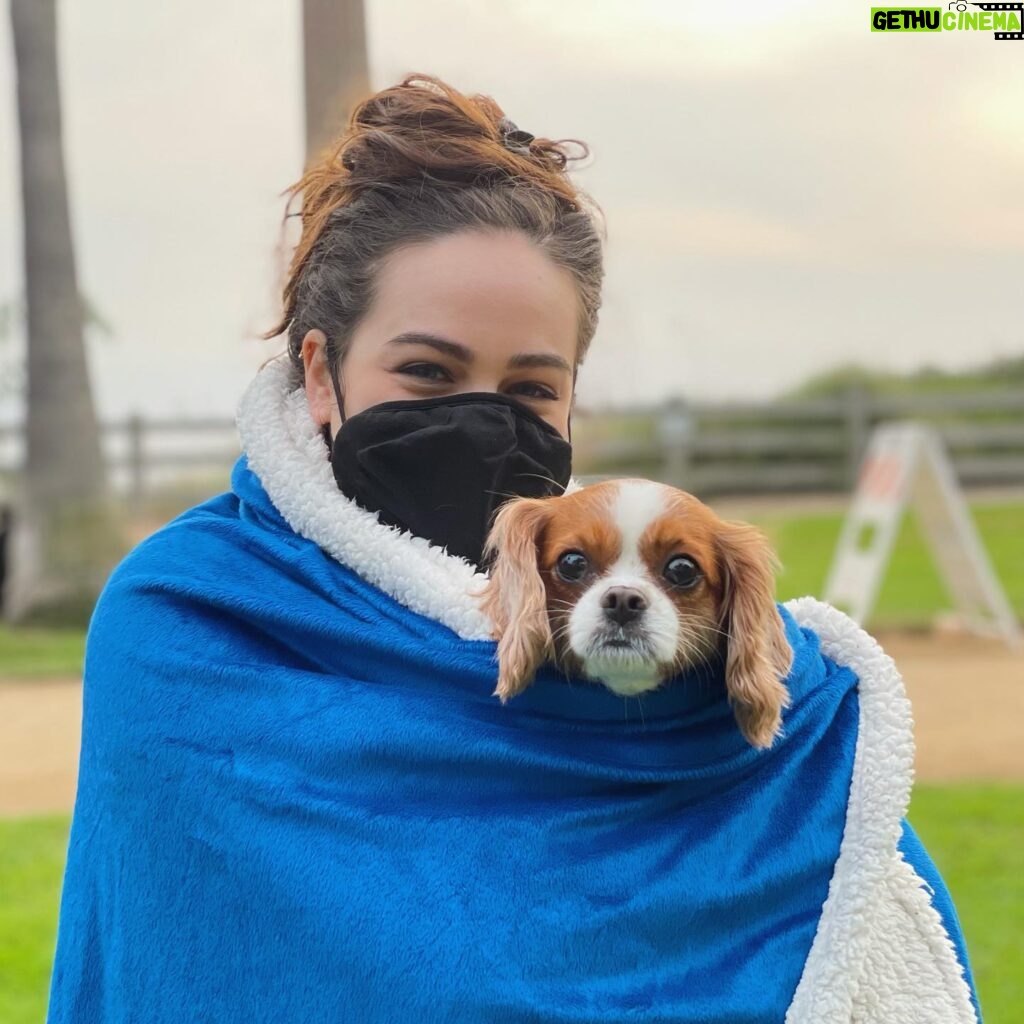 Mary Mouser Instagram - •cozy blanket ☑️ • cute pup ☑️ • quarantine messy-bun ☑️ - I love that it’s getting a little colder outside, but a cozy holiday season at home is around the corner over here and I am READY FOR IT ☃️ - Also I’ve been MIA since I’m keeping safe with my mask on, social distancing, and staying home, and I hope you’re all staying safe and smart as well so we can kick this pandemic’s butt ASAP! 👊💙 - Do you guys have one go-to blanket for winter cuddles? Or do you bury yourself under a pile of MANY blankets? (Somehow I do both 😂)