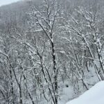 Maya Karin Instagram - Super snow in Japan!! ⛷️🏂⛷️🏂❄️☃️❄️☃️ Sampai boleh hampir tenggelam dalam salji 😂❄️❄️❄️ #iloveskiing #kaputt #hakuba #japan