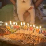 Maymay Entrata Instagram - Happy 2nd Birthday my baby Shaggy!!! 😂❤️😽