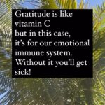 McKayla Maroney Instagram – My thoughts on gratitude 🤍